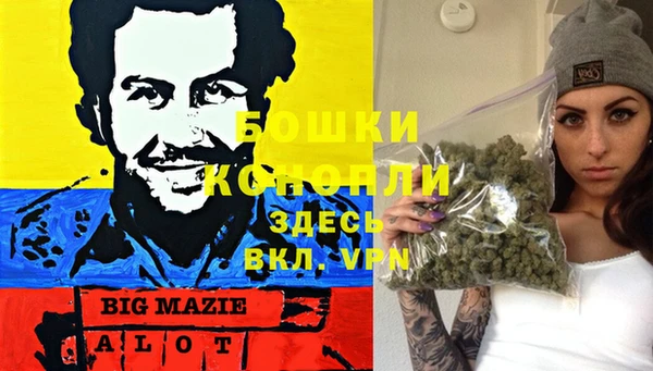 apvp Верея