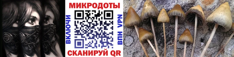 Галлюциногенные грибы Psilocybine cubensis  где продают наркотики  Сретенск 